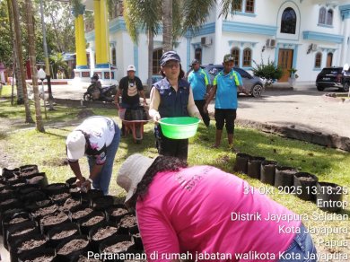 Pertanaman di Rumah Jabatan Walikota Kota Jayapura